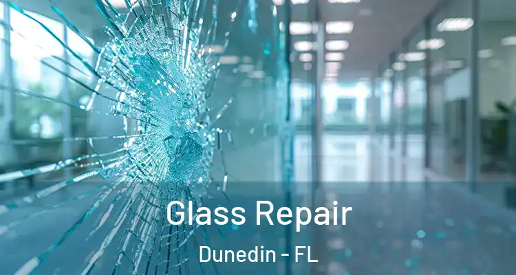  Glass Repair Dunedin - FL