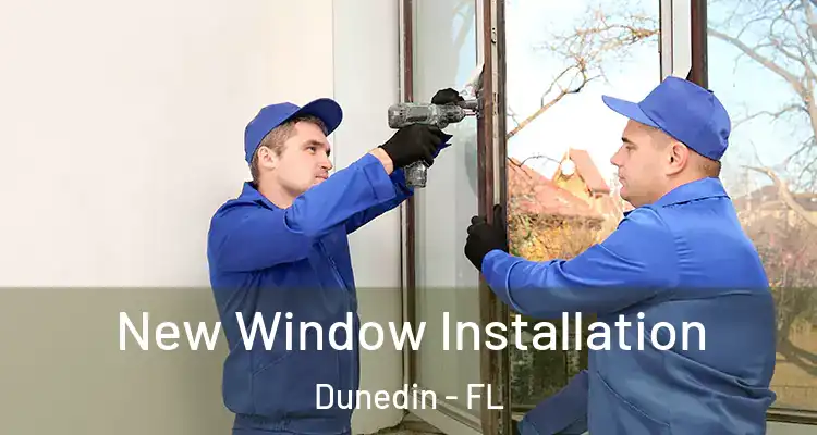  New Window Installation Dunedin - FL