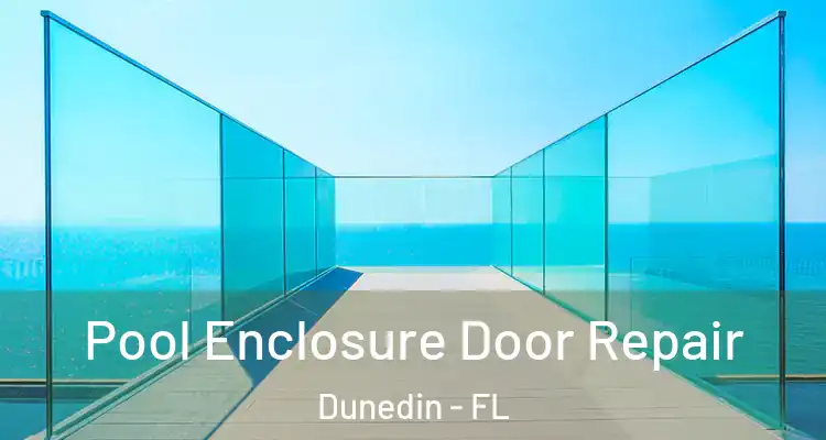  Pool Enclosure Door Repair Dunedin - FL