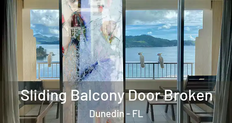  Sliding Balcony Door Broken Dunedin - FL