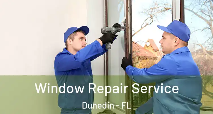  Window Repair Service Dunedin - FL