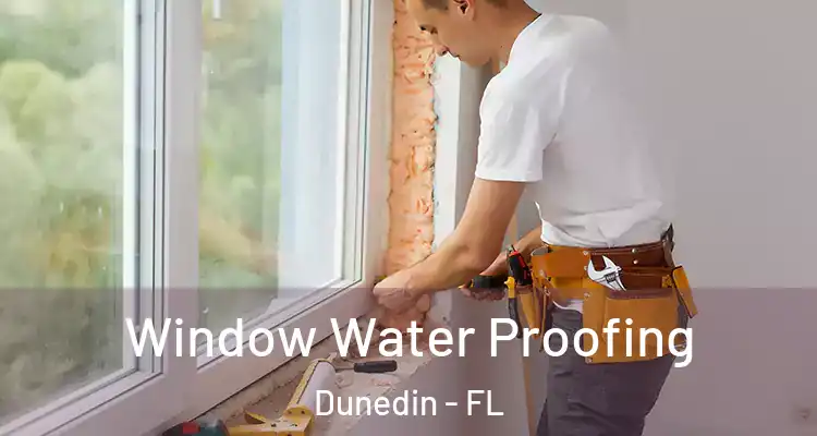  Window Water Proofing Dunedin - FL